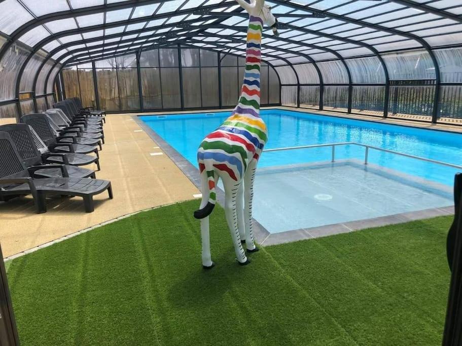 דירות סנט-אילר-דה-רייה La Roseliere ❁ Piscine ❁ Tranquillite מראה חיצוני תמונה